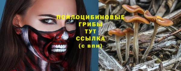 винт Алзамай